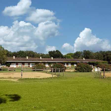 Residential Horse Club Costa Brava Albergue Santa Cristina d'Aro Habitación foto