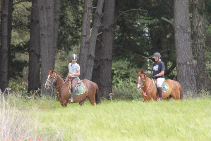 Residential Horse Club Costa Brava Albergue Santa Cristina d'Aro Exterior foto