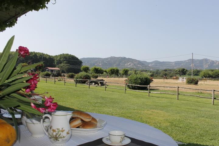 Residential Horse Club Costa Brava Albergue Santa Cristina d'Aro Habitación foto
